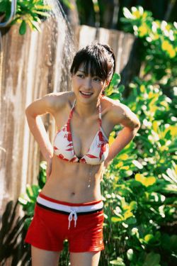 江山如此多娇电视剧免费观看